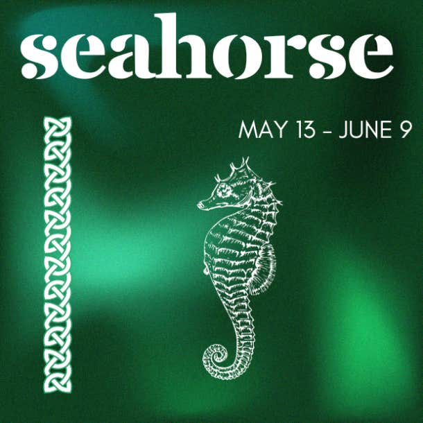 celtic animal zodiac sign seahorse