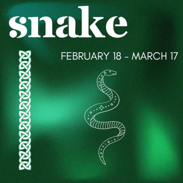 celtic animal zodiac sign snake