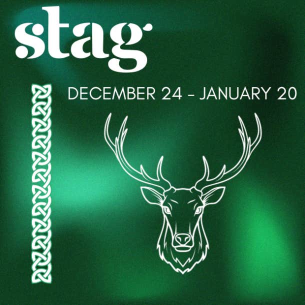celtic animal zodiac sign stag