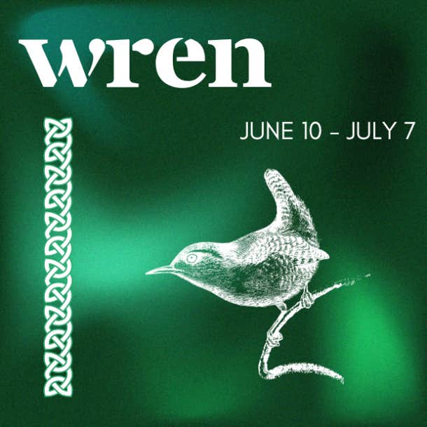 celtic animal zodiac sign wren