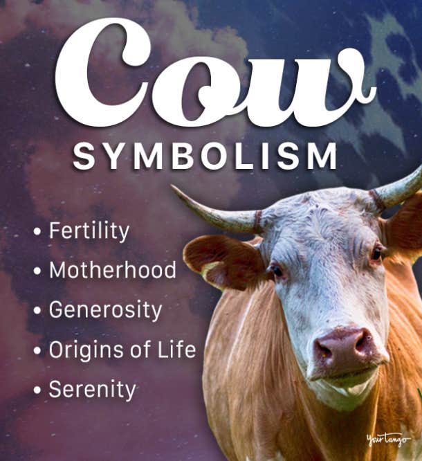 cow symbolism and meaning