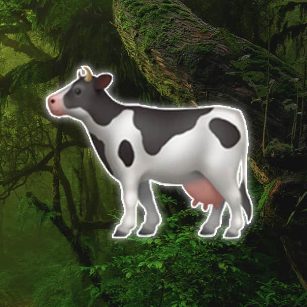 rainforest personality test cow