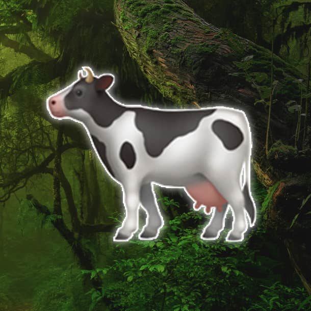 What The Rainforest Personality Test Reveals About What You Value Most In Life - 67