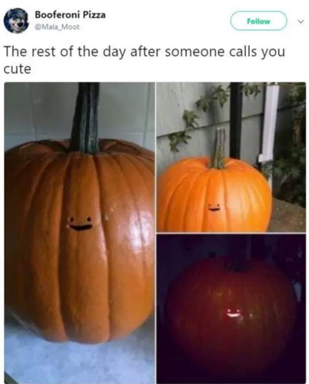 cute halloween meme