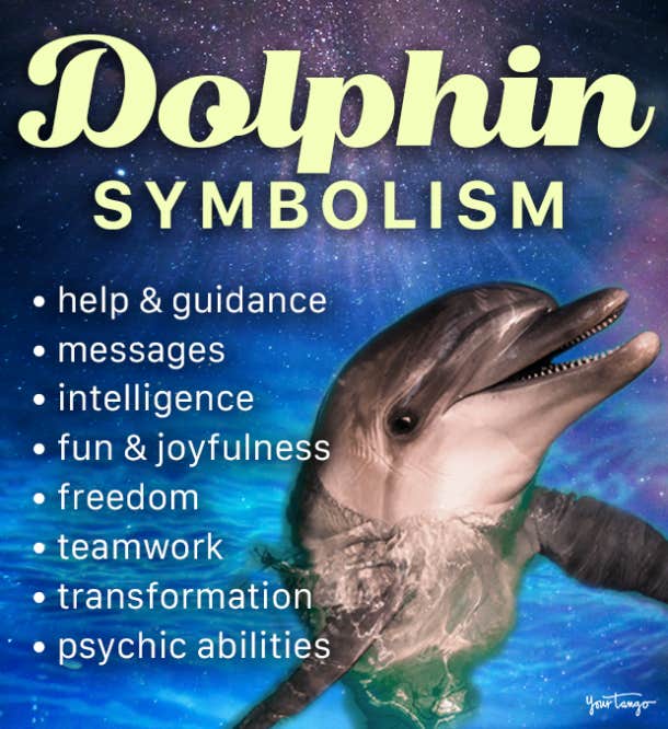 dolphin symbolism