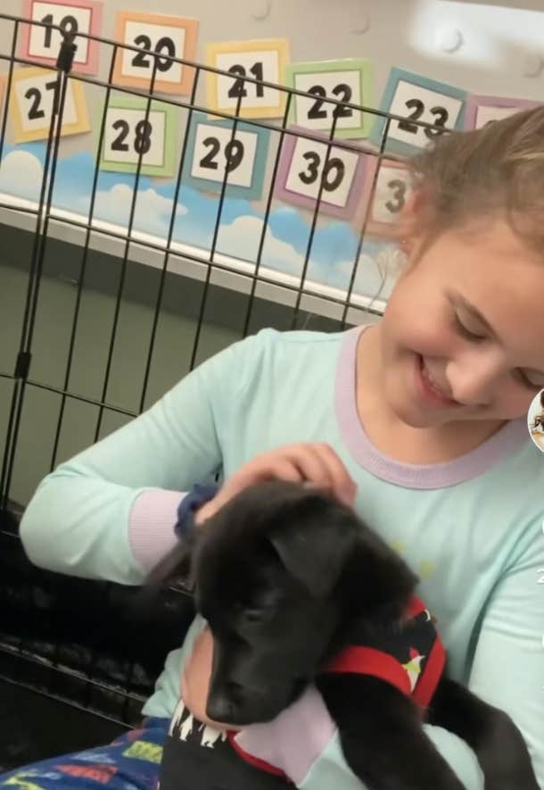 girl playing with foster puppy in classroom