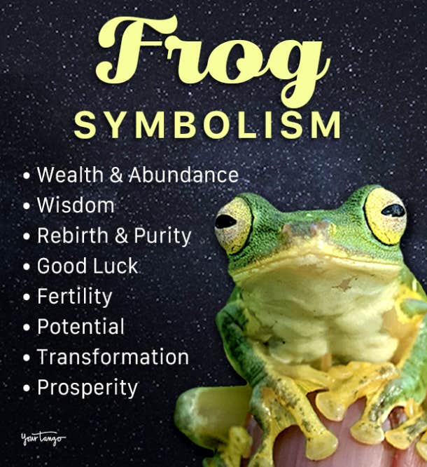 Frog Symbolism & Spiritual Meaning Of A Frog Spirit Animal | YourTango