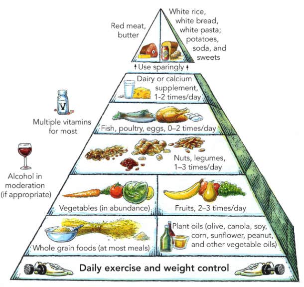 harvard food pyramid