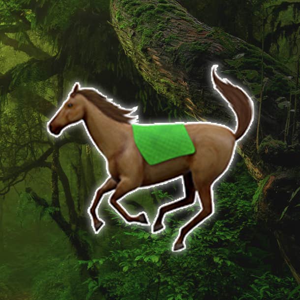 rainforest personality test horse