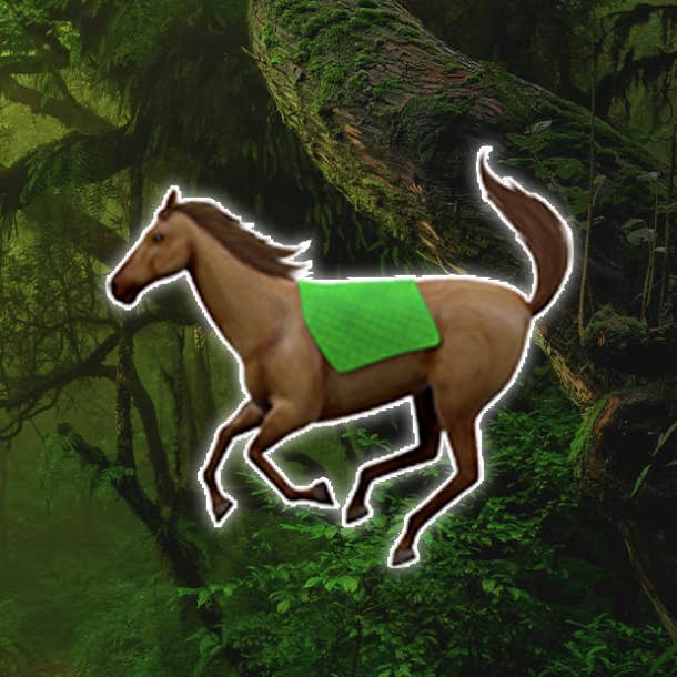 What The Rainforest Personality Test Reveals About What You Value Most In Life - 96