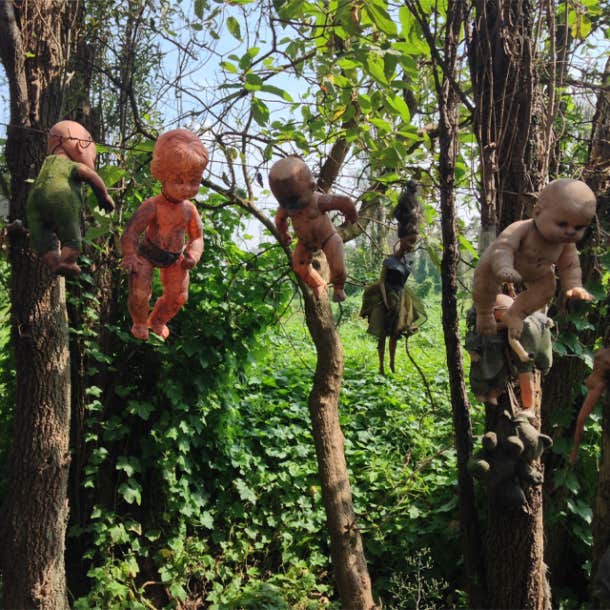 The Island Of Dolls, Mexico City