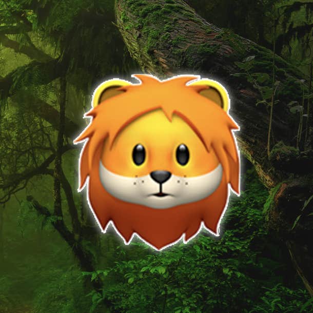 rainforest personality test lion