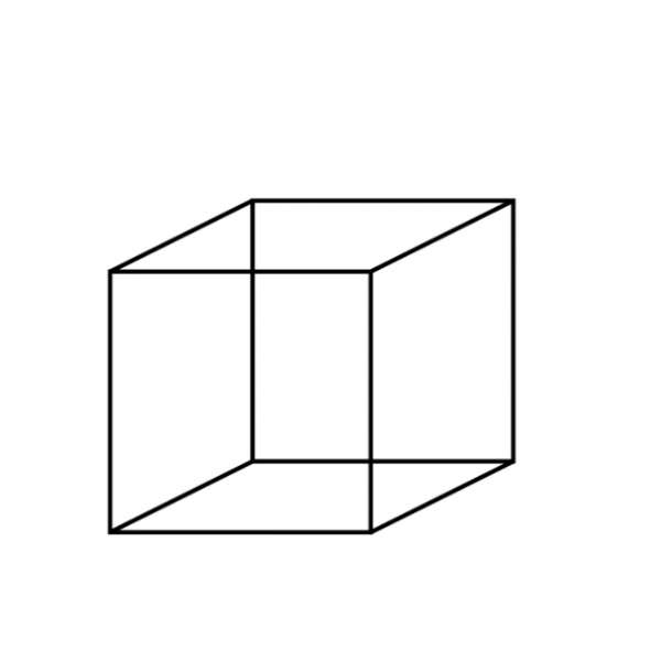 necker cube illusion