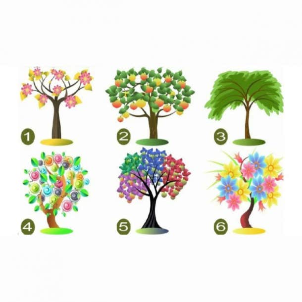 pick a tree personality test