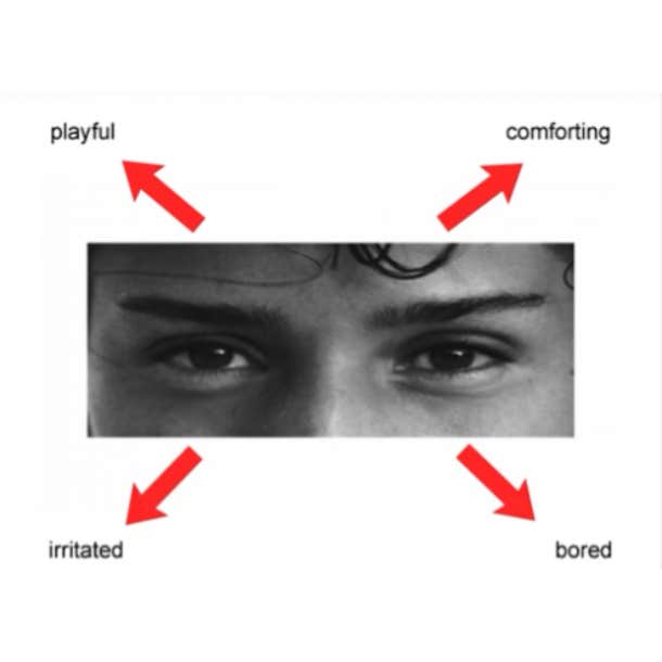 Reading the Mind in the Eyes test