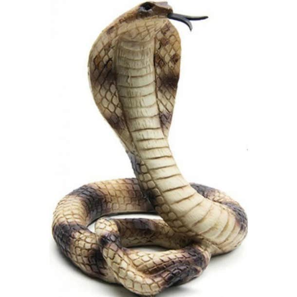 spirit animal personality test cobra