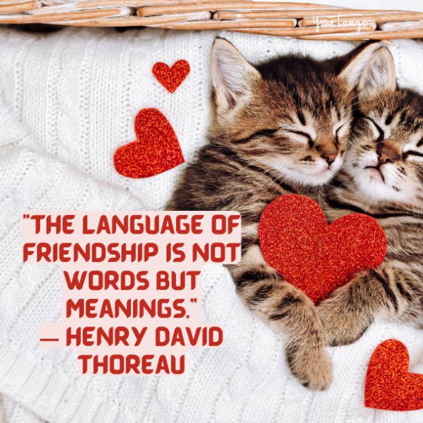100 Happy Valentine's Day Quotes For Friends 2023 | YourTango