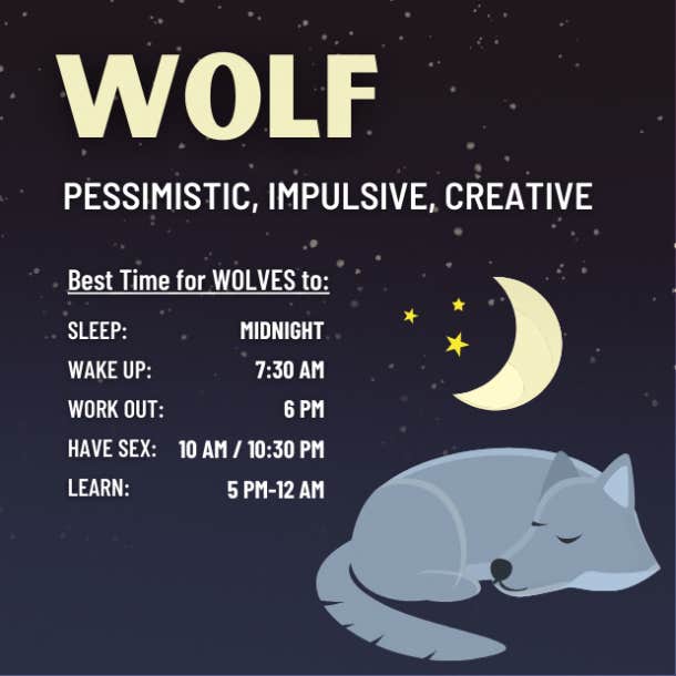 wolf chronotype personality