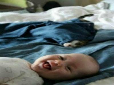 baby and kitten