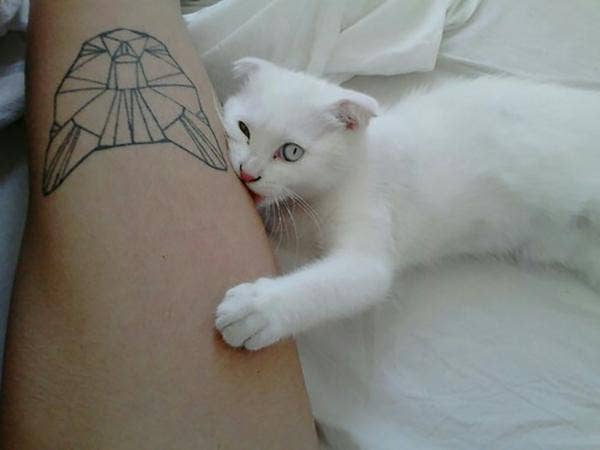 Cat Tattoos To Obsess Over