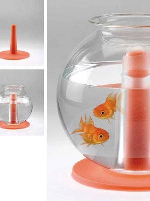 cat toy or sex toy