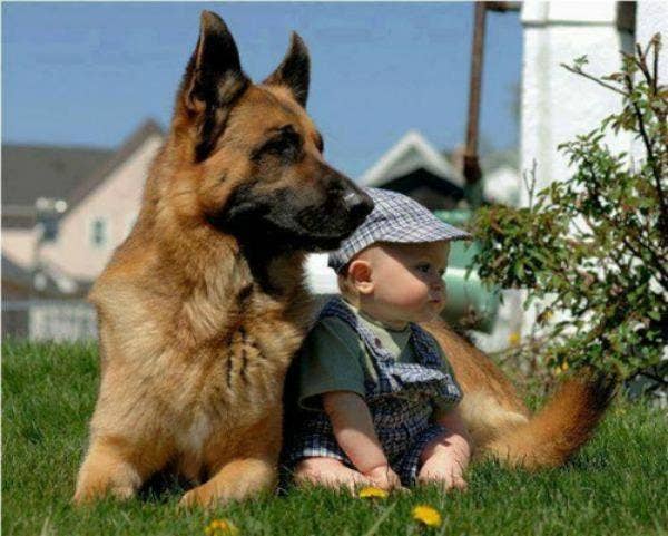 dog and baby outside