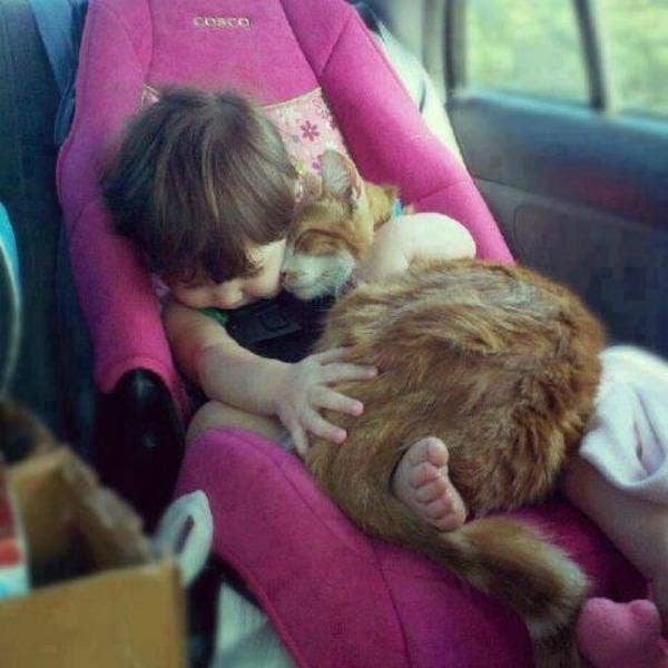 baby and cat in car