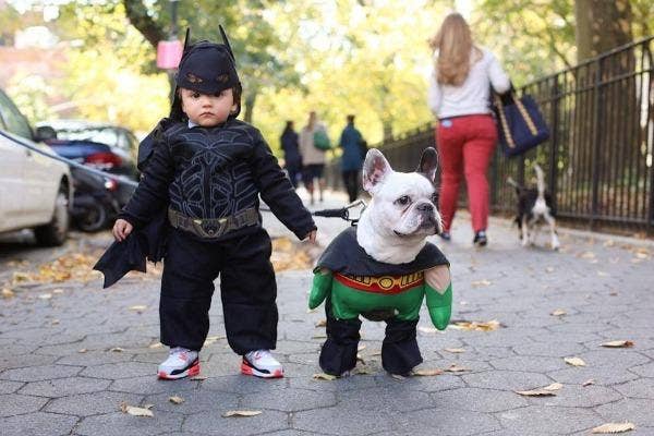 halloween costumes dogs kids