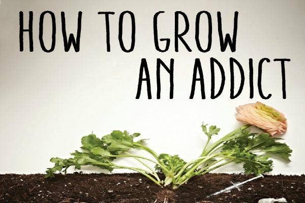 How to Grow an Addict by J.A. Wright