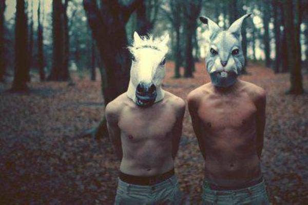 Horse and Bunny Maks