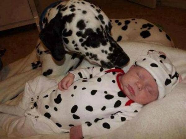 dalmatian and baby