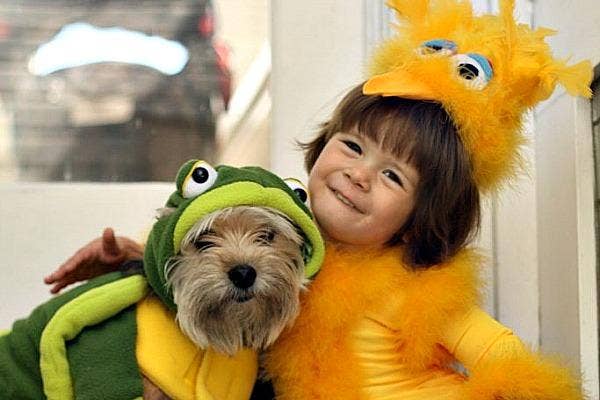 halloween costumes dogs kids