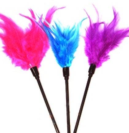 cat toy or sex toy