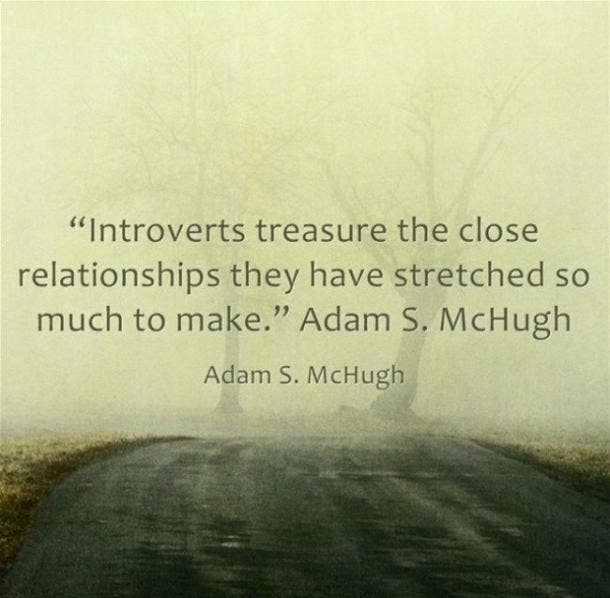 Image result for introversion quotes
