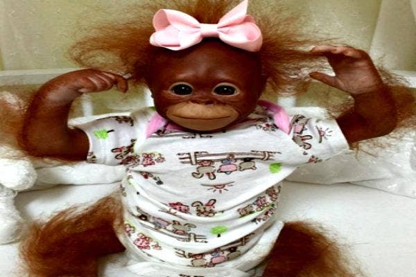 Monkey baby with pink bow.