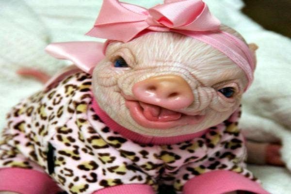Pink pig baby with leopard print.