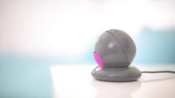 cat toy or sex toy