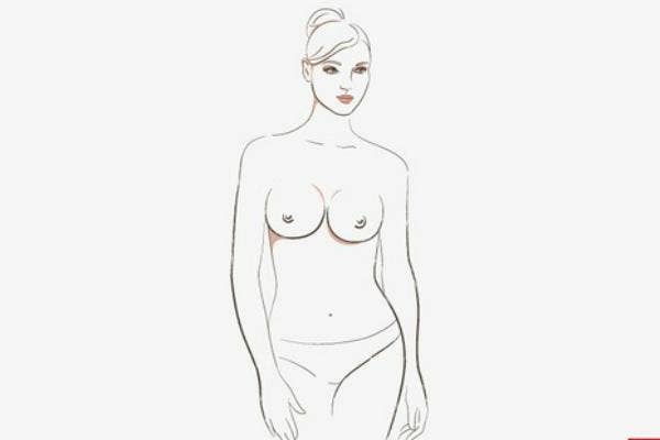 There Are 7 'Types' Of Breasts: Which Kind Do You Have?
