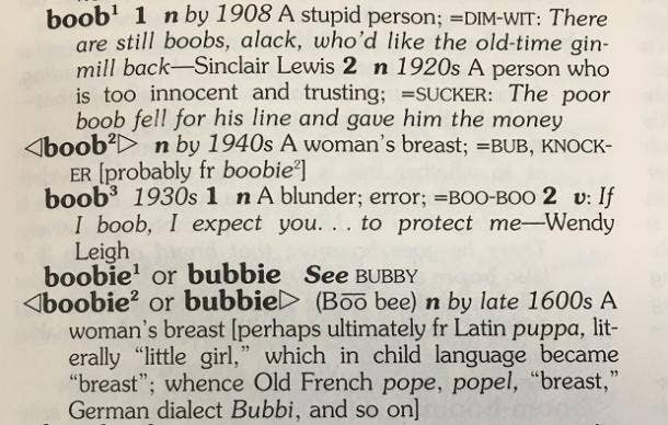 boobs definition