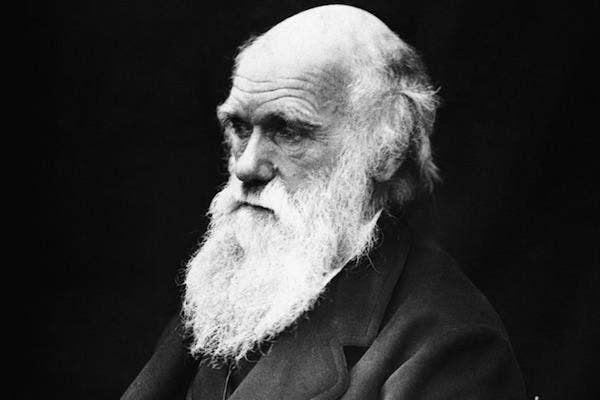 Charles Darwin from Wikimedia
