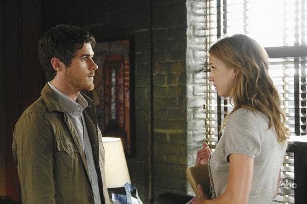 David Annable and Emily VanCamp Brothers and Sisters