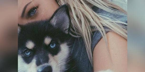puppy