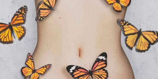 stomach