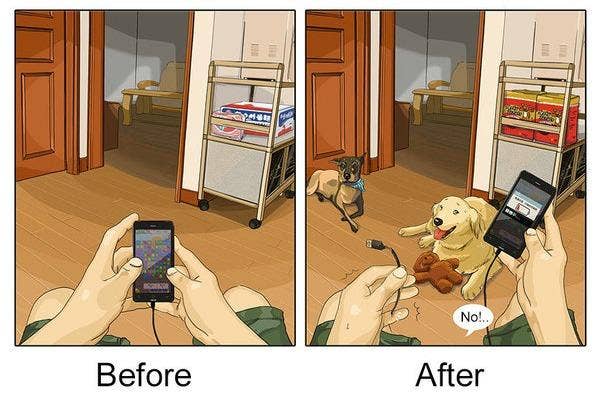 dogs