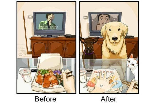 dogs