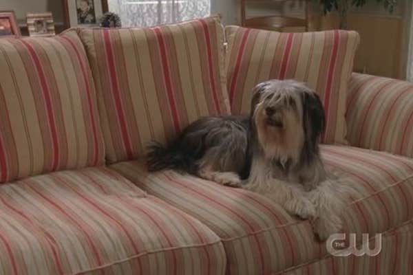 Gilmore Girls