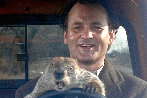 Bill Murray from Groundhog Day