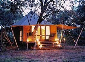 Safari Adventure: Ngala Safari and Tented Camp, Kruger National Park