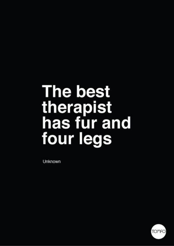 <strong>Bye, going to go hug my dog now.</strong> Dogs Are A Woman's Best Friend Quotes