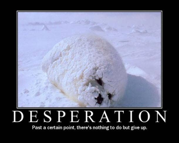the 20 funniest demotivational posters quotes and memes to share on